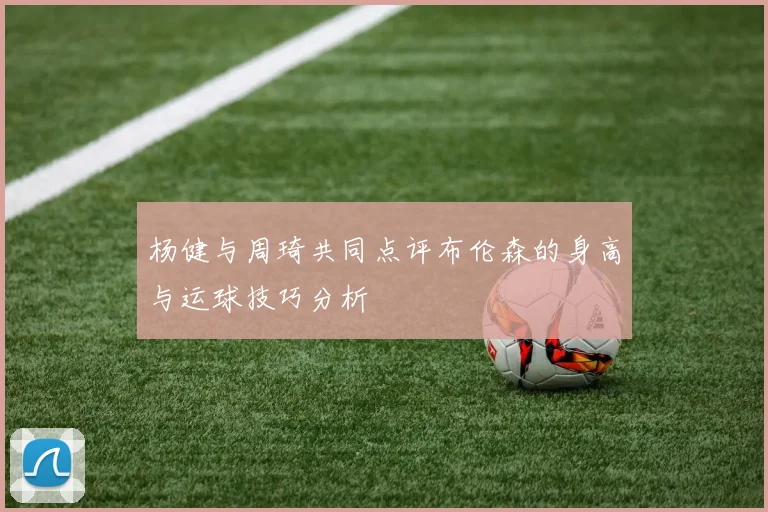 杨健与周琦共同点评布伦森的身高与运球技巧分析