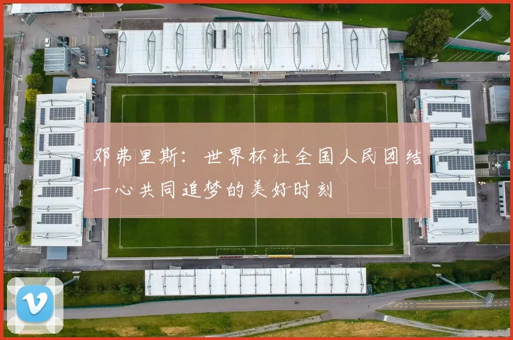 邓弗里斯：世界杯让全国人民团结一心共同追梦的美好时刻