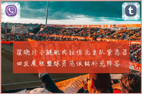 翟晓川小腿肌肉拉伤北京队紧急召回发展联盟球员范依铭补充阵容