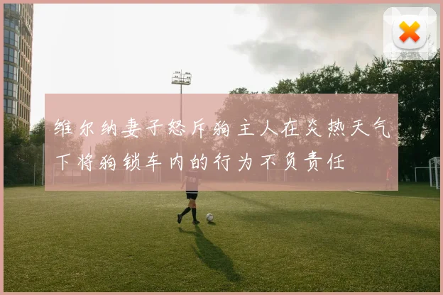 维尔纳妻子怒斥狗主人在炎热天气下将狗锁车内的行为不负责任