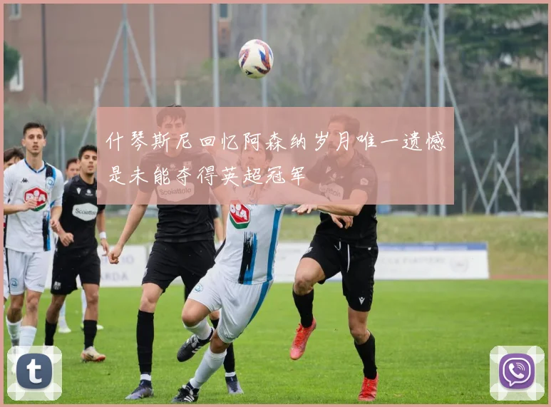 什琴斯尼回忆阿森纳岁月唯一遗憾是未能夺得英超冠军
